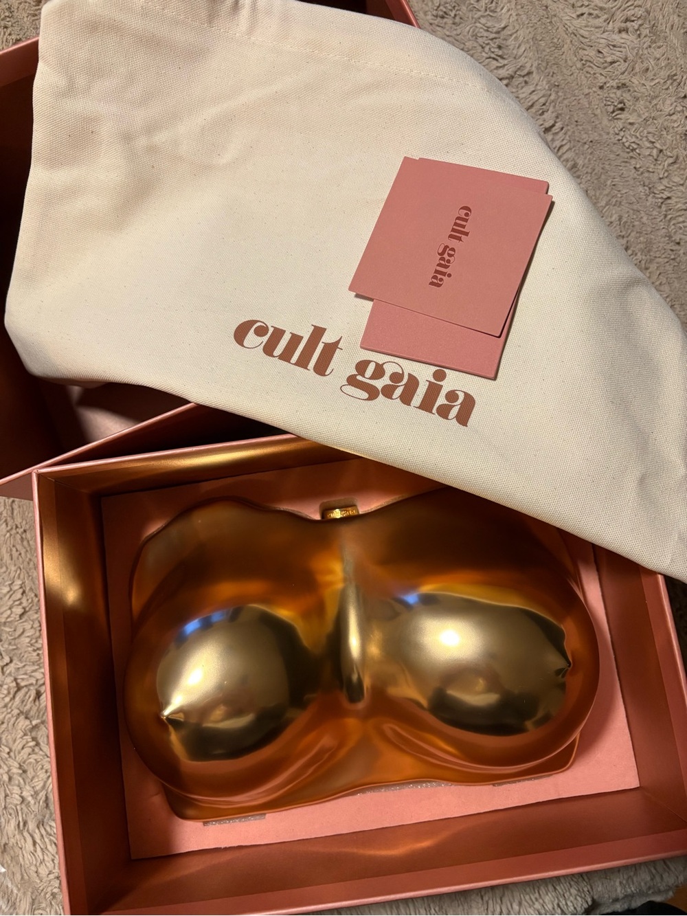 NIB Cult Gaia Reina Clutch